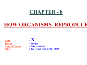 chapter - 8 how organisms reproduce - e-CTLT