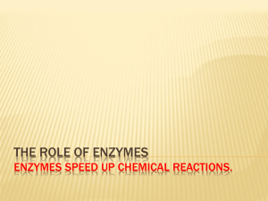 enzyme - TeacherWeb