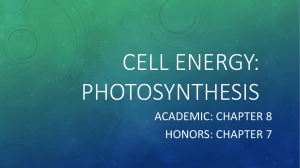 Cell Energy: Photosynthesis