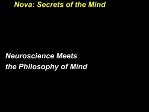 Neuroscience meets Philosophy of Mind