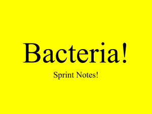 Notes on Bacteria