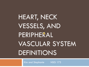 Heart, Neck Vessels, and Peripheral Vascular defintions