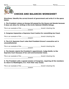 checks and balances worksheet