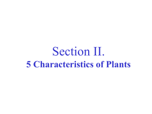 Plant classification: chapters 20,21,22,23