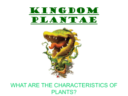Biological Classification Worksheet Five