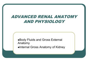 ADVANCED RENAL AND CARDIAC ANATOMY AND PHYSIOLOGY