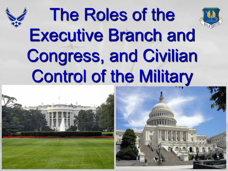 the-role-of-the-president-and-the-executive-branch