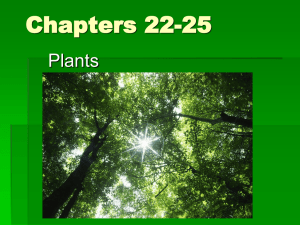 Chapters 22-25