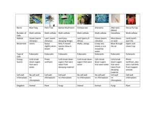 Characteristics Table