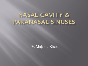 22-Nasal Cavity