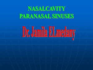 nasal cavity paranasal sinuses
