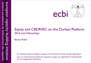 Equity and CBDR/RC on the Durban Platform