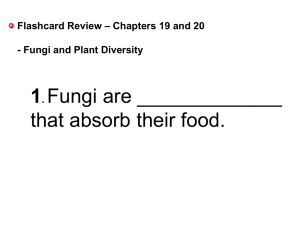 19.5 Diversity of Fungi