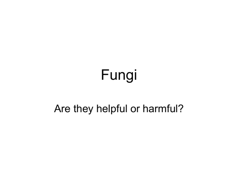 Fungi Helpful