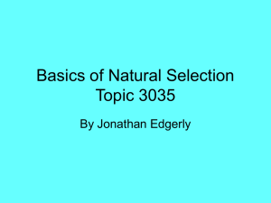Basics of Natural Selection