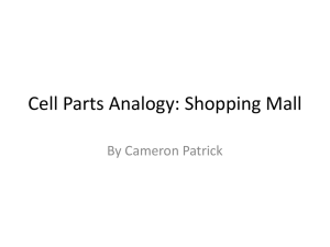 Cell Parts Analogy: Shopping Mall - NylandBiology2012-2013