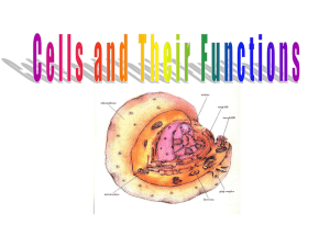 Cells & Their Functions