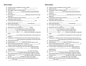 What is Fungus? Fungi form long, threadlike structures called