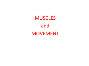 isometric contraction is muscle tissue contracting