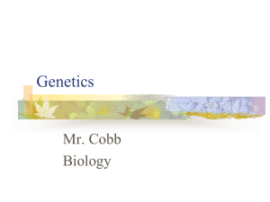 Genetics - gcaramsbiology