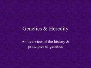 Genetics & Heredity