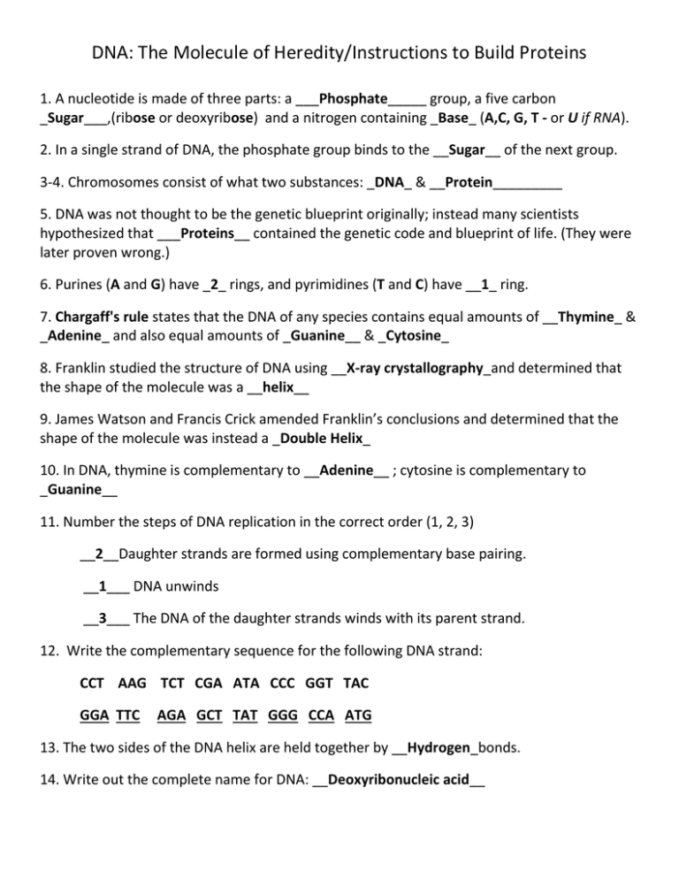 Easy Dna Test Review