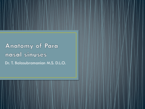 Anatomy of Para nasal sinuses