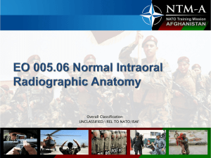 005.06_Lecture_2_Normal_Radiographic_Anatomy