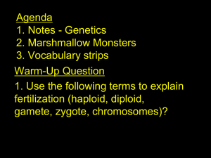 Agenda 06/12/06 1. Notes - Genetics 2. Practice Problems 3. Quiz