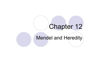 Chapter 12