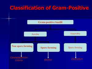Classification of Gram