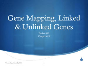 Gene Mapping, Linked & Unlinked Genes