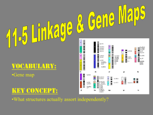 Gene Maps