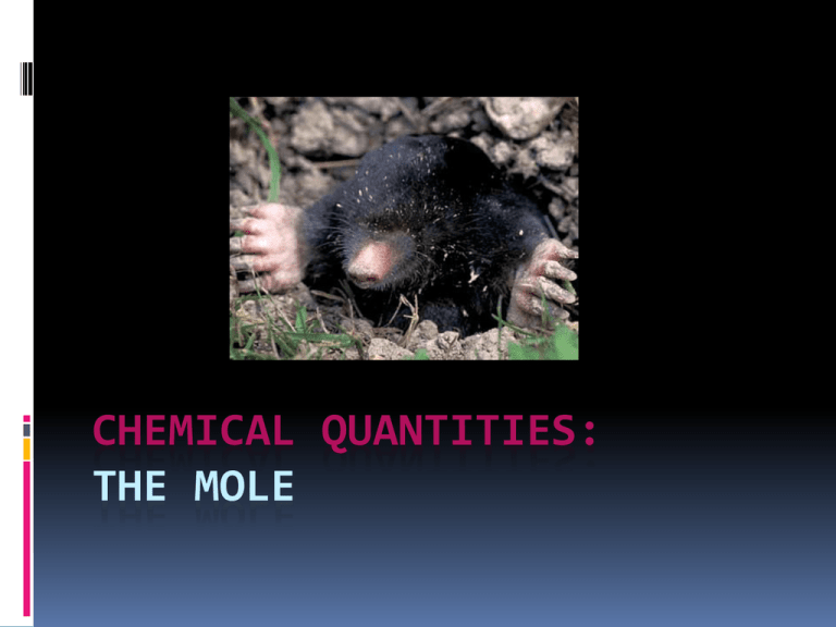 CHEMICAL QUANTITIES THE MOLE