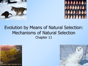 Evolution by Means of Natural Selection: Mechanisms of Natural