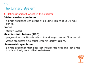 1. List qualities of urine and identify signs and symptoms about urine