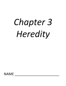 Chapter 3 Vocabulary