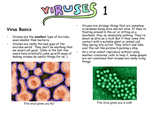 Viruses summary