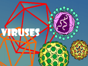 Viruses (L2)