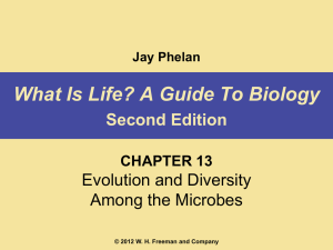 Honors Bio Phelan PPT\phelan2e_ch13_editable@QCS_notes