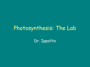 Photosynthesis: The Lab