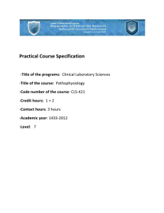 Practical Course Specification