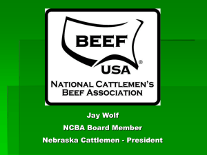 Ethanol Federal Research Nebraska Cattlemen supports increasing