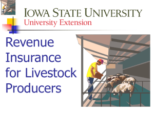 Revenue Insurance for Hog Producers