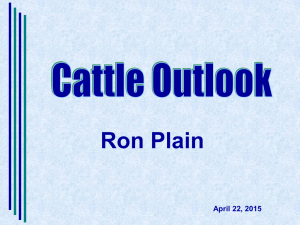 Cattle Outlook