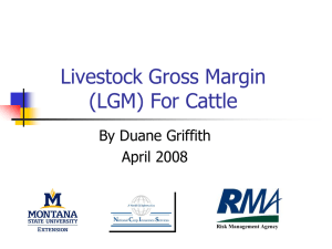 2006 lgm - cattle - Montana State University