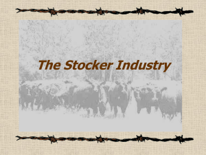 Stocker Overview