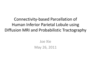 Interior parietal cortex using tool *Freesurfer*