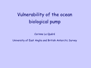 Vulnerability of the ocean biological pump