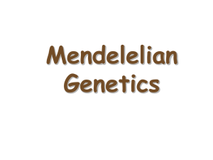 Mendelelian Genetics